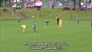 KS Falubaz Zielona Góra - TS Gwarek Tarnowskie Góry 1:1 (1:1)