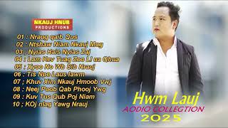 Hwm Lauj 10 Audio Collection  nkauj Kho Siab Nkauj Hmoob 2025