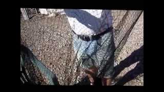 Netting video www.gardenpolytunnels.ie www.folientunnelpolyaethylen.com