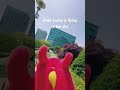 요즘 틱톡에서 유행하는 요정챌린지🧚🏻를 하는 용용이 😁😁 shorts msi msilucky 용용이 요정 요정계 요정챌린지