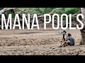 Magic in Mana Pools, Zimbabwe | Nyamepi Camp