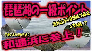 バス釣り琵琶湖のおかっぱり！一級ポイント和邇浜は釣れる⁉