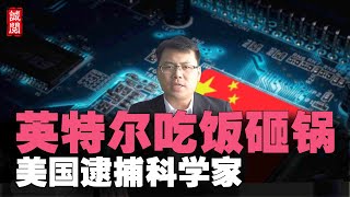 有用吗？英特尔道歉！美国逮捕科学家，全球哗然，中国成立稀土集团