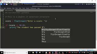 Double If Selection Control Structure in Python 3