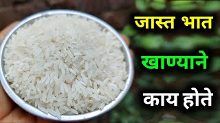 जास्त भात खाण्याने काय होते? | जास्त खाल्ल्याने मधुमेह होतो का |  Rice information in marathi