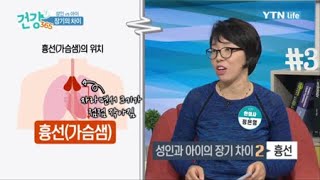 성인 vs 아이, 장기의 차이 / YTN 라이프