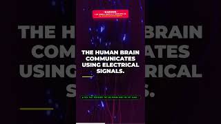 Most People Fail This Human Quiz