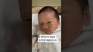 태어난지 1일차 눈을뜨다! #신생아 #아기 #생후1일 #babyshorts  #baby