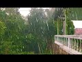 12 Hours Super Heavy Rain and Thunderstrom in Remote Village | Fall Asleep Fast ASMR
