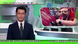 無綫02:00 新聞報道 TVB News｜2023年8月27日｜國際狗狗日港鐵首次容許狗醫生乘搭｜內地再有兩名體壇高層落馬受查或被開除黨籍｜印度南部火車爆炸 當局指有乘客擅自攜帶石油氣罐 4K