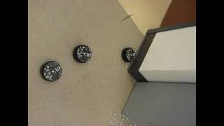 Multiple Robots Flocking