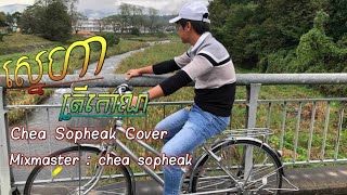 ស្នេហាត្រីកោណ Chea Sopheak Cover