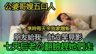 公婆哥嫂五口人，準時每天來我家蹭飯，朋友給我一計立竿見影，七天后老公翻臉趕她們走 #深夜淺讀 #為人處