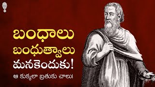 DIOGENES PHILOSOPHY : బంధాలు, బంధుత్వాలు మనకెందుకు, ఆ కుక్కలా బ్రతుకు చాలు! Think Telugu Podcast