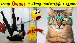 வீட்டு Owner உயிரை காப்பாத்திய பூனை 😮🤔/ Unknown facts in tamil #Shorts