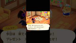 ハムスケの誕生日会を楽しんでいるところ〜一時帰宅(2/4) #animalcrossing #あつ森 #ハムスケ