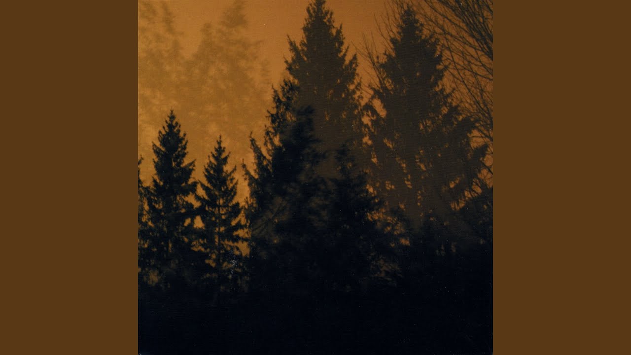 Thirty Six Silos Chords Tabs If These Trees Could Talk