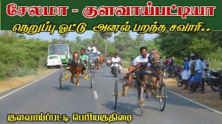 பெரியகுதிரை எஸ்.குளவாய்பட்டி புதுக்கோட்டை  21/03/2022 Periyakuthirai s kulavaippatti ksk  rekla race