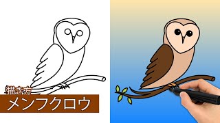 メンフクロウの描き方|簡単なステップバイステップの描画チュートリアル