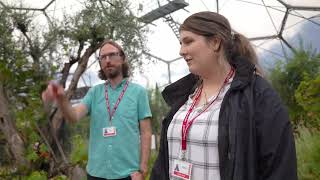 The Eden Project - Case Study