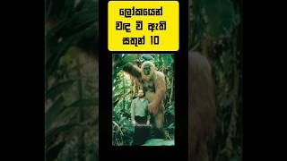 ලෝකයෙන් වඳ වී ඇති සතුන් 10 | 10 animals that have become extinct in the world #shorts #top10 #viral