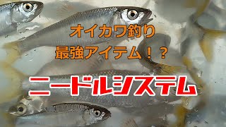 【番外編】オイカワ釣り最強アイテム！？　ニードルシステム　【ハエ、ヤマベ釣り】【自動エサ付け器】