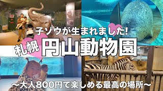 子ゾウが生まれました🐘❤️札幌❄️円山動物園🦁‖北海道‖円山公園