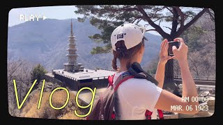 A mountain with a crazy pretty temple with a 3-hour cut. I went to Cheongnyangsan Mountain🌸