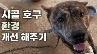 표범이 생활환경을 개선해주려고 합니다!