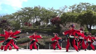 岩瀬嫂舞会」（1st）「華一世」／八重桜まつり・YOSAKOIソーランナイト2013