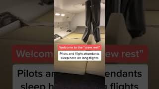 Did you know about the secret bedroom on planes?! #Shorts