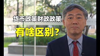 李稻葵：货币政策、财政政策有啥区别？【清华大学李稻葵】