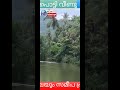 മലപ്പുറം കാളികാവിലെ ആ വൈറൽ തെങ്ങ് ഇന്ന് പൊട്ടി വീണു