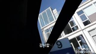 부산 시내버스 남부여객 9번 1263호 주행영상