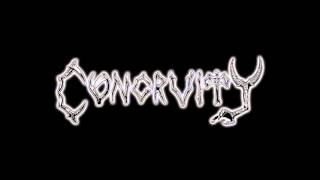 Congruity - The Burden Of Life (pre-production)