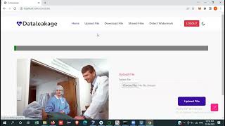 31 Data Leakage Execution