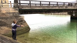 橋の下でアレを投げると入れ食い状態【沖縄釣り　ルアーフィッシング　okinawa fishing 】