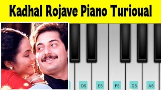 Kadhal rojave love songs piano turioual 🌹❤️#piano #arrahman #lovestatus