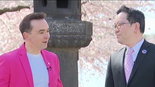 Peak bloom incoming: Checking on the Tidal Basin cherry blossoms | NBC4 Washington