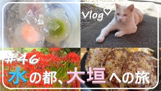 【旅行vlog】水の都、岐阜県大垣市へ、おさんぽ旅。【東海ねこさんぽ#46】