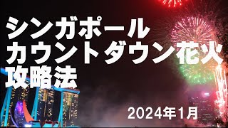 シンガポールカウントダウンの攻略法　2024.01の情報