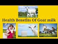 The health benefits of goats milk