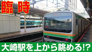 【全区間車窓】大崎駅を上から眺める!?山手貨物線臨時列車（新宿→品川）※シナガワグースの「アリガトウ」の窓文字つき！