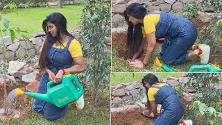 Shree Rapak Planted Saplings By Accepting #GreenindiaChallenge | Naked Movie Heroine | DC