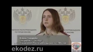 Ремонт мусоропровода EkoDez