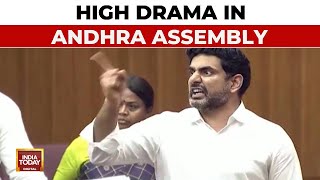 High Drama in Andhra Assembly: Nara Lokesh Targets YSRCP, Says 'Jagan Reddy Silent On Women Abuse'