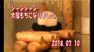 逆立ちからの大福もちシャンシャン　（スライド有）　2018.07.10　ABC Panda Movies