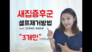 새집증후군 제거 방법 셀프 가능합니다 방분탄 베이크아웃 피톤치드 3가지만 기억하면 어렵지 않아요!