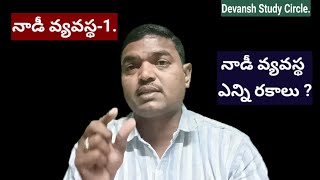 నాడీ వ్యవస్థ-1. నాడీ వ్యవస్థ ఎన్ని రకాలు?