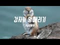 브금대통령 귀여운 어리숙한 cute 갑자기 멍때리기 spacing out 무료음악 브금 royalty free music